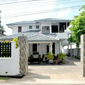 Asian , Negombo Sri Lanka